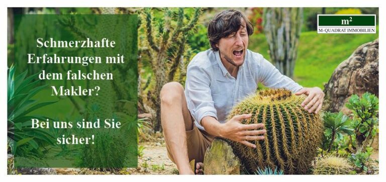 flyer schmerzen 768x362