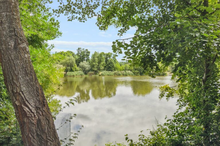 backbone 85334 076 WEB 768x512